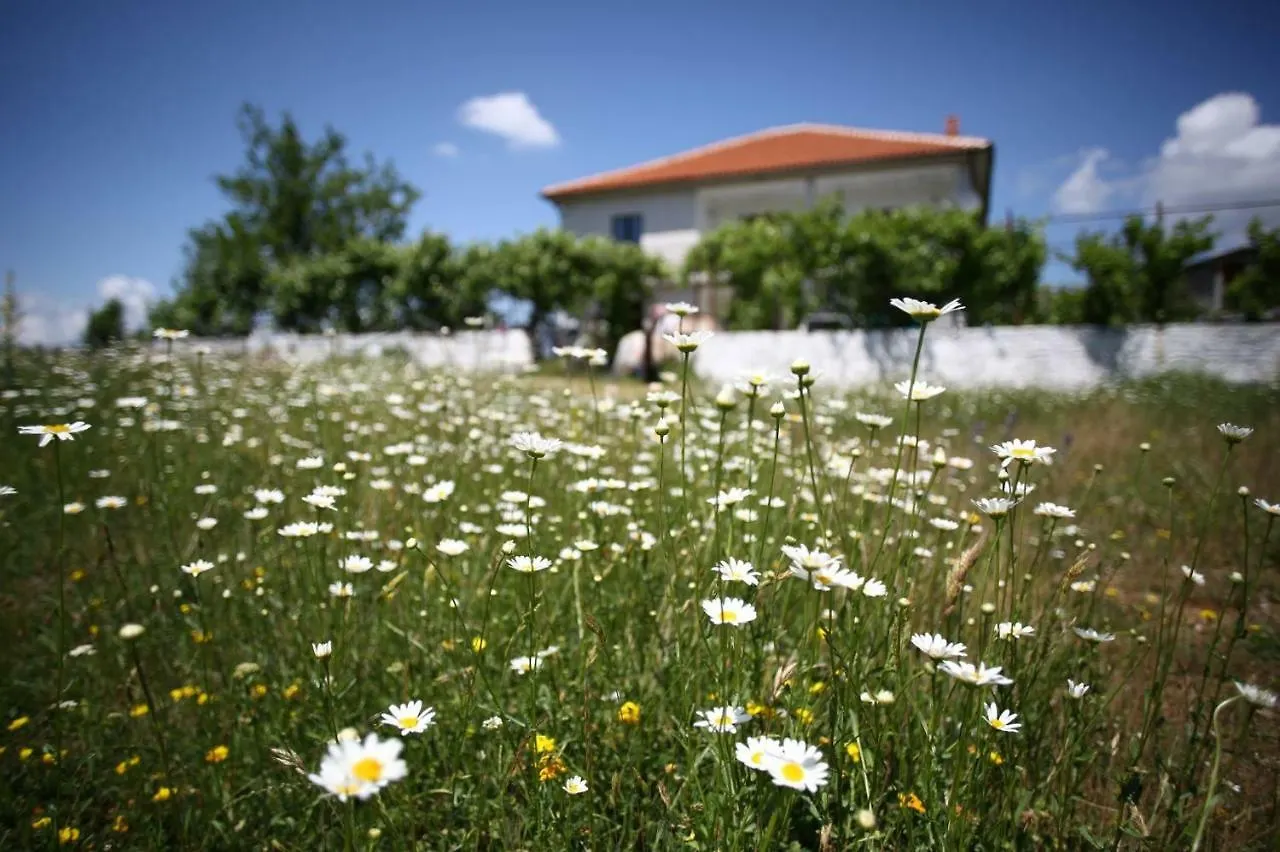 Agroturizem Lajthiza Hotel Korce